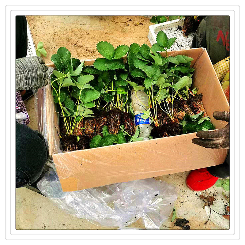 3e8c6508719fa56093ef954ef7b430