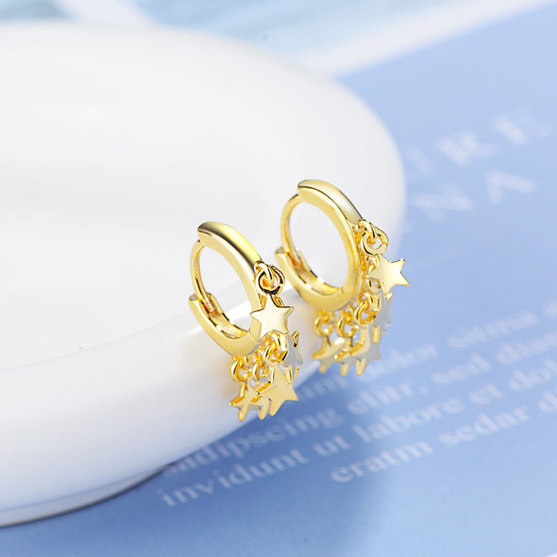 Korean Temperament Personality Wild Star Earrings Fashion Simple Earrings Ear Jewelry display picture 6