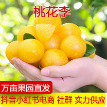 �a��ֱ�l�һ������r����ˮ���S���Ӯ��������ЋD��������������
