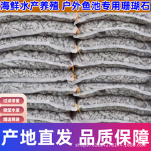 珊瑚骨鱼缸过滤材料水族箱造景海鲜缸水产养殖优质珊瑚砂鱼池滤材