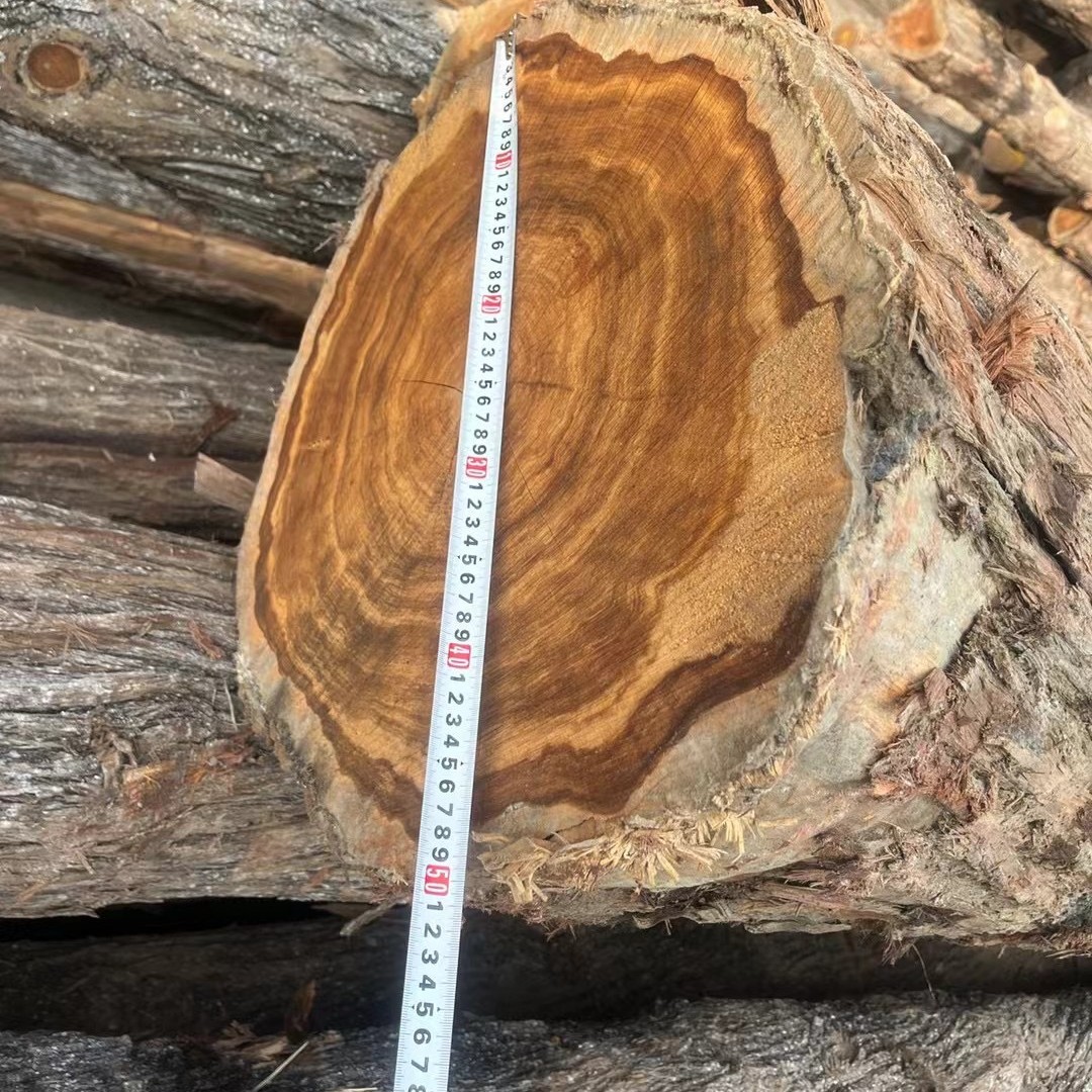 澳洲油柏木 寿材料 棺材料规格料 家具装修 工艺品雕刻