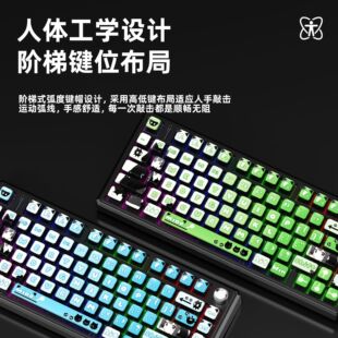 T75PRO���S�Cе�I�P�ȸ߾��ȿ��о�RGB늸�RT���{�I�̵����t�I�P