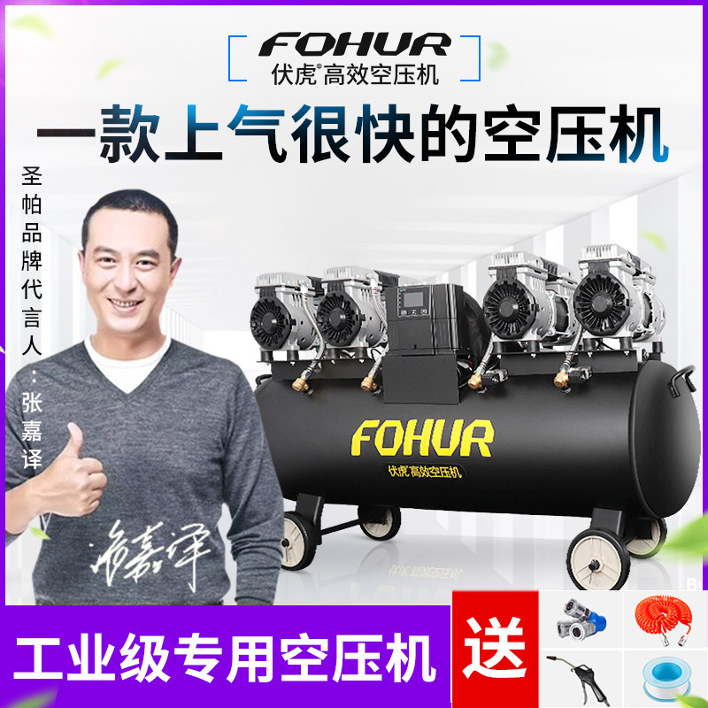 Shengpa Intelligent Manufacturing Fuhu Air Pump Oil-Free Low Noise 10L15L30L55L65L100L120L150L200