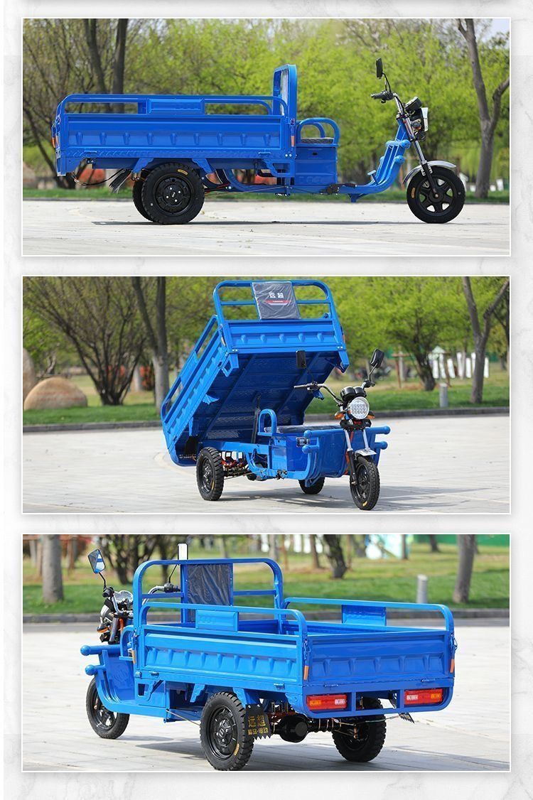 Electric Tricycle for Cargo, Delivery, Farm Use, Adult