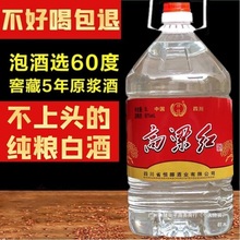 四川桶装纯粮食白酒10斤52度60度型高粱酒散装酒泡药白酒群木