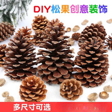 批发松果手工diy材料松塔原木干树枝树干幼儿园儿童天然干花装饰