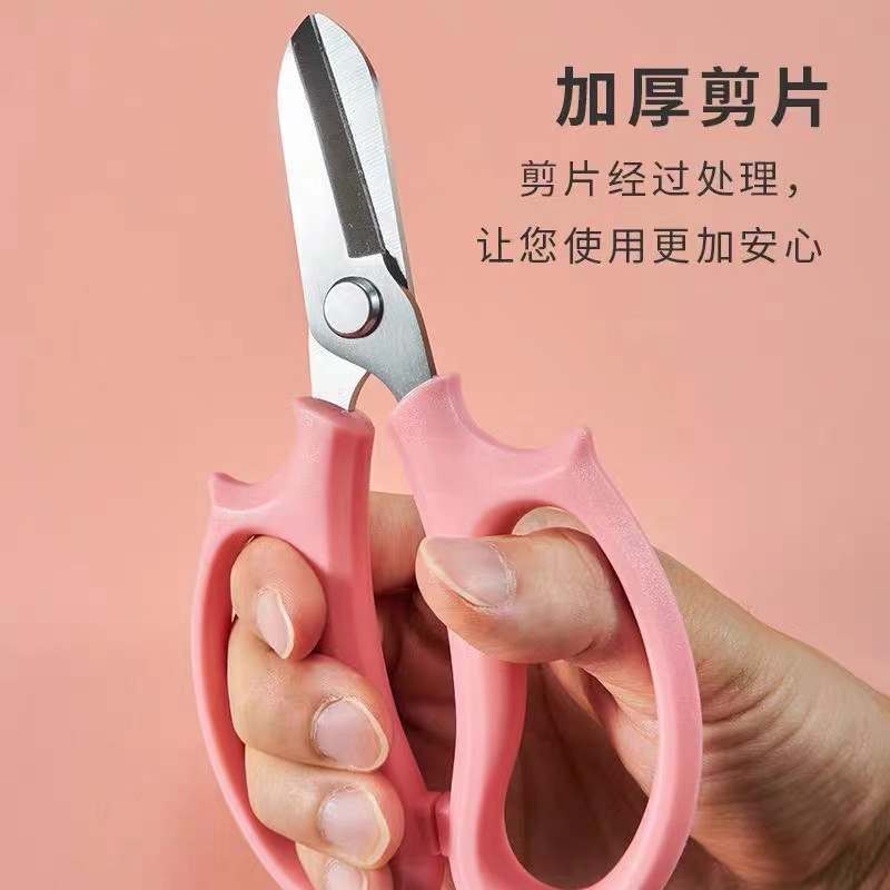 花艺修枝剪宽头园艺剪家用花剪花枝树枝修枝盘栽工具鲜花插花剪刀