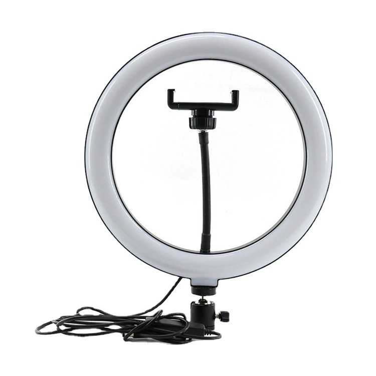 LED fill light, 10 inch, 12 inch