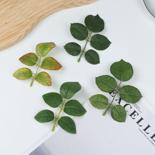 Դ�^���S����õ���~�zӡ�~Ƭ���~���lDIY���Ͻ����^��h���