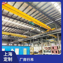 定制三吨电动行车 五吨单双梁行吊 35t防爆洁净龙门吊 旋臂起重机