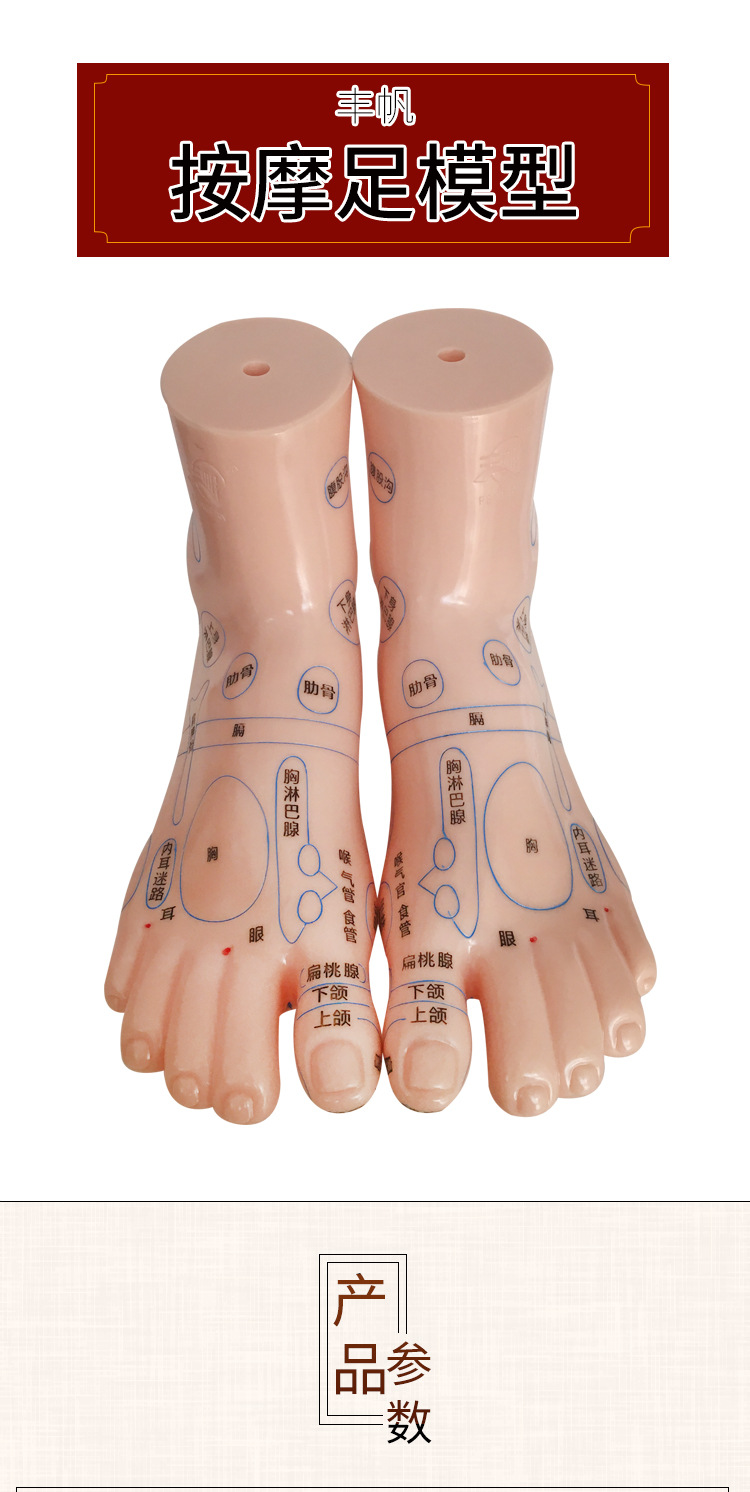 Foot Acupoint Reflexology Model with Clear Markings, Foot Reflex Zone Massager, Acupoint Stick, PVC Foot Model for Home Wellness Routine detail image