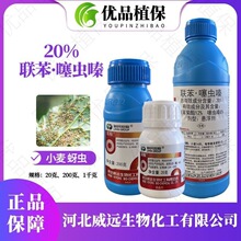 �p��20%�����x� ���������x�С�����xā�x�rș���x��������