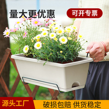 �̨�􂐷N�����������ֲ���L���ηN�ˌ������������b һ����