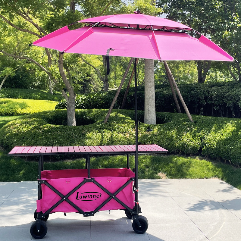 新しいキャンピングカー改造屋台車昇降式折りたたみモバイルエッグロールテーブルナイトマーケットスナックカーオーニング|undefined