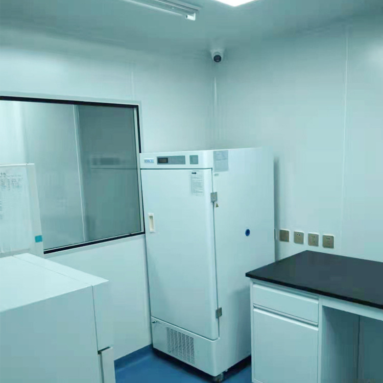 Manufacturer Purification Workshop Construction Cell Laboratory Purification System Biological Pharmaceutical Factory Purification Engineering Clean Room