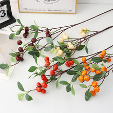 ���滨�{��ʮ���^С�Ϲ��b͏d�ҾӔ[���lؔ����ˇ�ٻ��S�����l