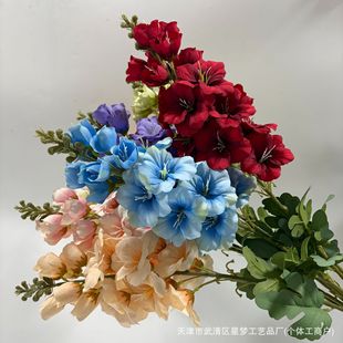��ɳɏ���滨��֧���m��c��Y�üҾ��b��ļٻ��S�����l���ϻ�