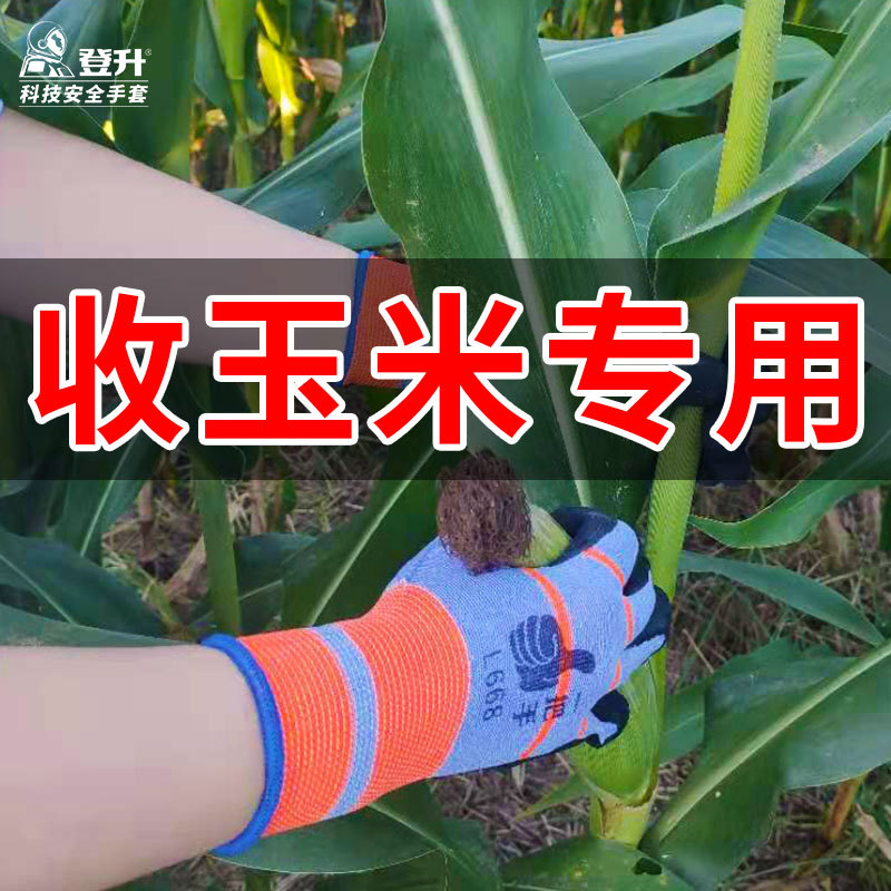 Guantes especiales para la recolección de maíz guantes de rotura de maíz antideslizante transpirable jardín maíz recogiendo guantes secos de granja