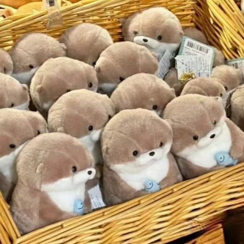 高颜値抱魚ラッコ人形かわいいぬいぐるみ超萌え人形が彼女の親友のアイデアを送っている|undefined