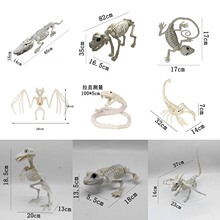 �f�}���ֲ����t����Ǽ�����֩��ϐ�������߹��ݲ��õ��ߞ��f����