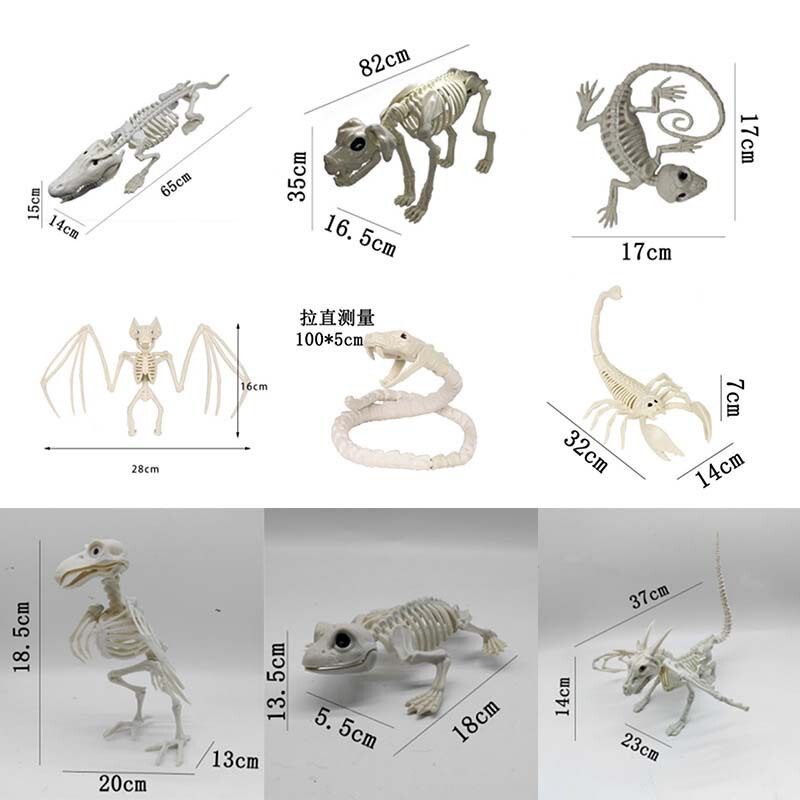 Halloween Horror Skeleton Skeleton Bat Spider Scorpion Mouse Snake Haunted House Layout Props Crow Skeleton Halloween Horror Skeleton Skeleton Bat Spider Scorpion Mouse Snake Haunted House Layout Props Crow Skeleton