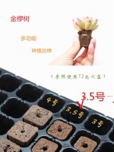 ����o������������|���d���B����K�Nֲ�d�I�B������̿�d�¿�