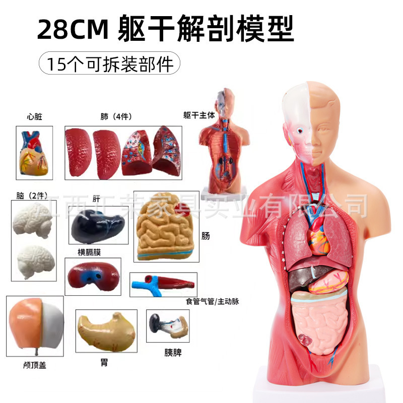 幼儿园科学探索实验器材教具发现室益智玩具中小学科技馆科普stem|undefined
