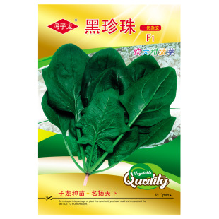 ���������𲤲�F1  �T�����N�繫˾ֱ�����������طNֲ�߲˷N