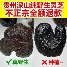 ]FݼҰ`֥؛Ȼ֦֥һƬ