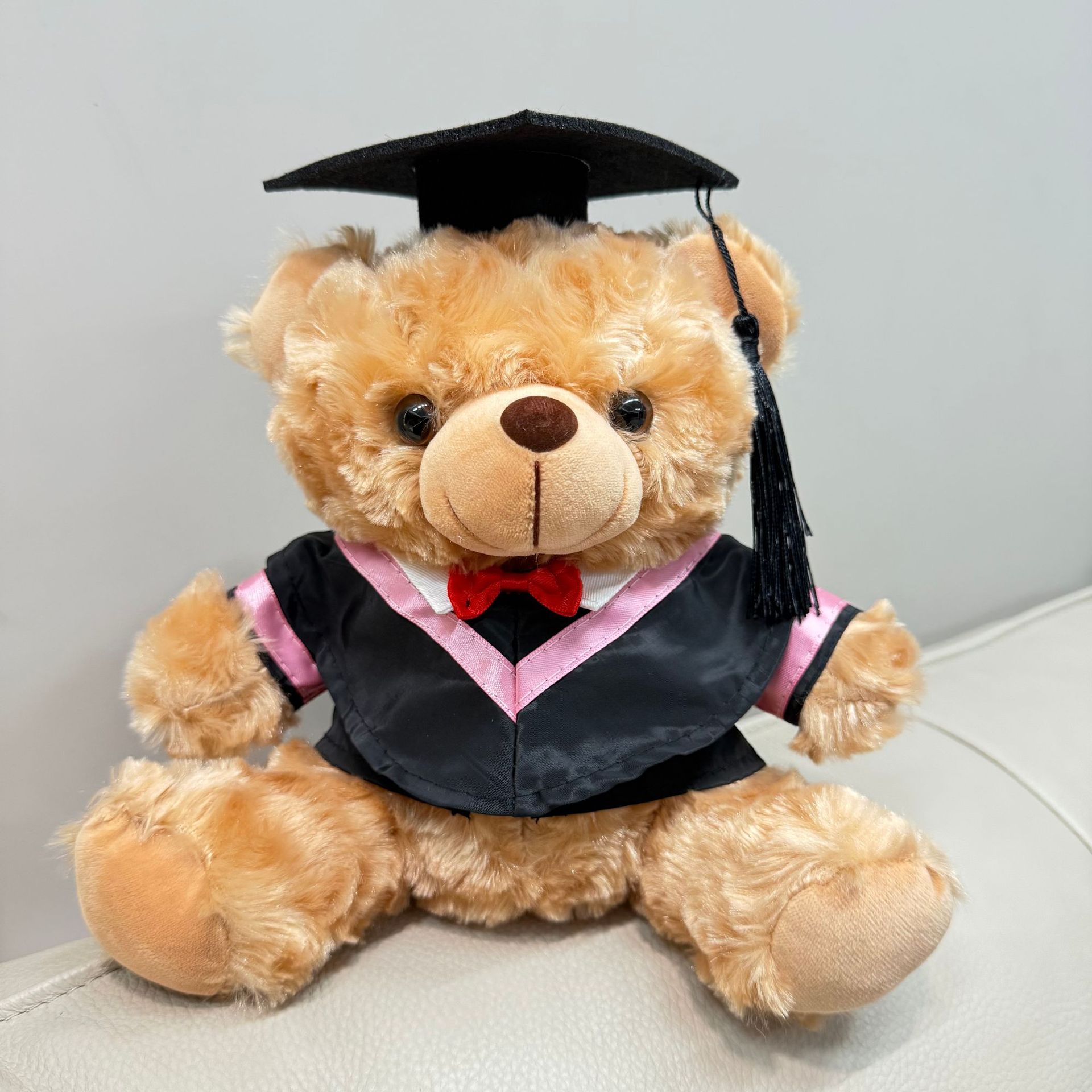 Doctorado de graduación Teddy Teddy
