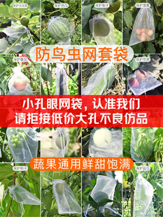 Fruit bagging bird insect mesh bag grape fig loquat Mango Peach bag strawberry protection bag