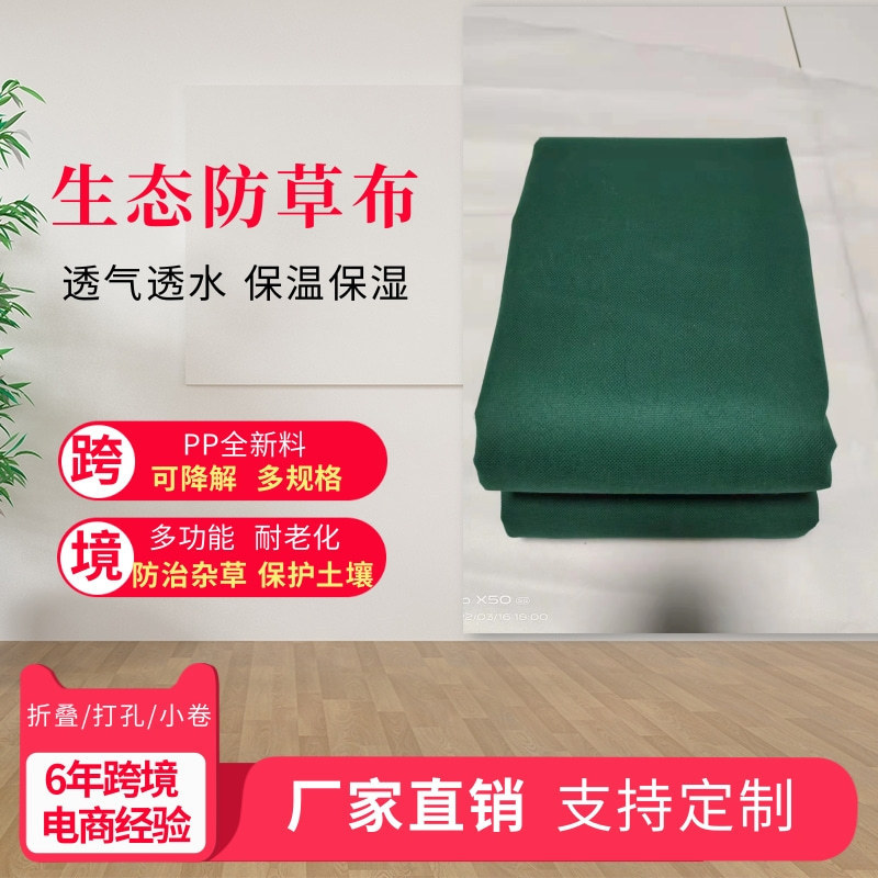 O1CN01Cfk6uG1TSXqLZTjXM_!!2761