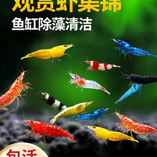 �^�p�r�����r��ˮ�r��ښ��r�坍�~�ͻ���B�Ꭷ�^�p�~����ˮ���r