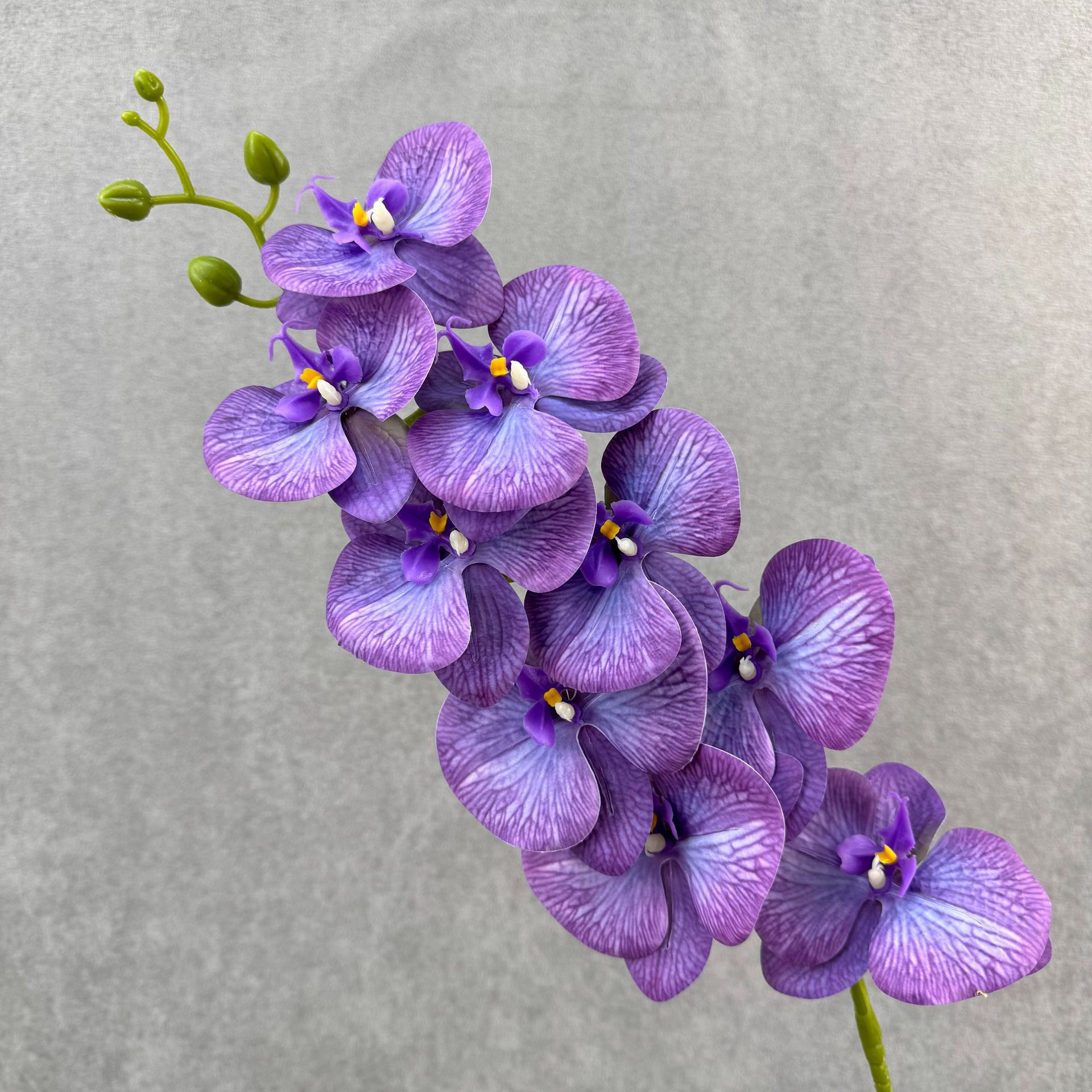 Thin purple