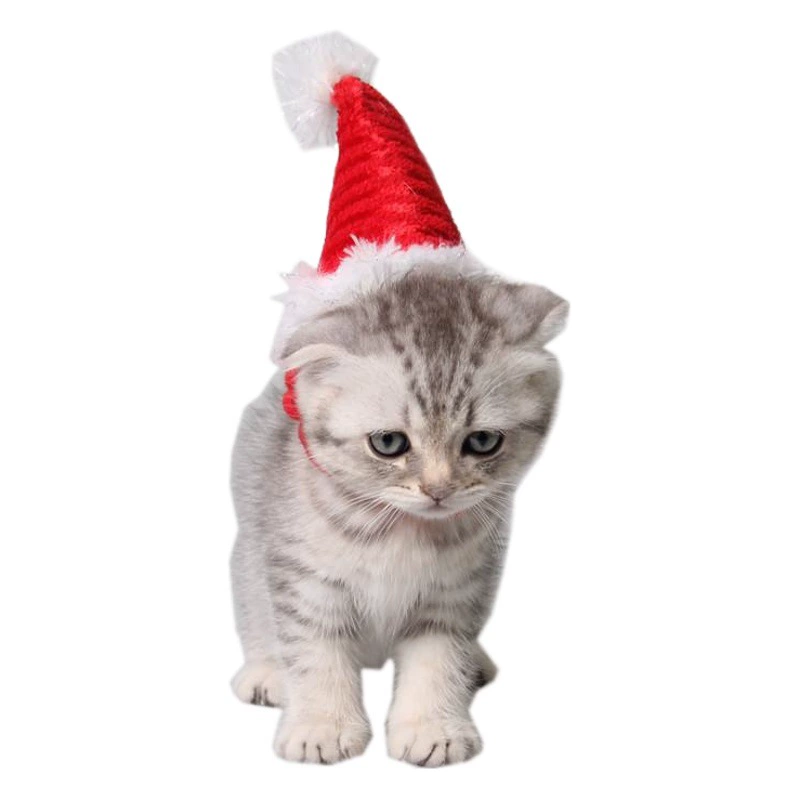 Jizai товары для маленьких домашних животных оптом коврик для Ежика голландский свинья человек Рождество красная шляпа фланелевый ремешок маленькая шляпа