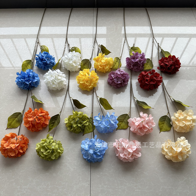 微信图片_202303211636141_副本