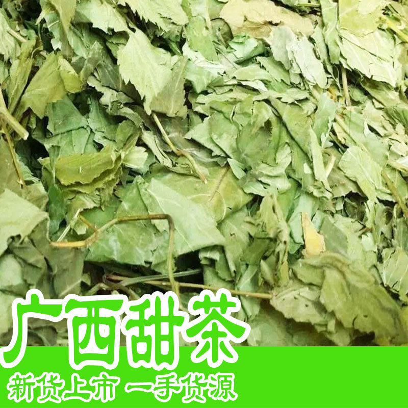 Wholesale Guangxi sweet tea sweet tea perennial big goods supply sweet tea first-hand supply
