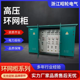 定制10kv高压开关环网柜HXGN12户外环网型箱变开闭所充气柜配电柜