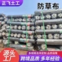 全新除草透水生态草布
