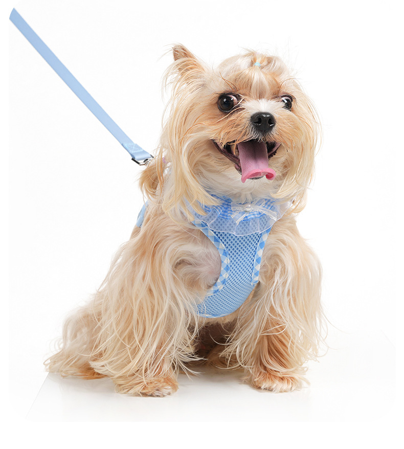 Arnés de pecho transpirable para perros con correa_voghion.com