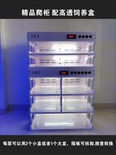 ���ﱣ���䮐���ӟ��^���،mϐ���߽���֩�����x�����ߙ���B����