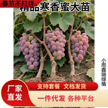 ���ј��纮����ꖹ�õ��ͥ�̨Ժ�Nֲ���䎧�������ϱ�������Y��