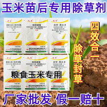 苗后烂根剂玉米多元复配封草死草禾阔双除荣宝玉玉米除草专用剂