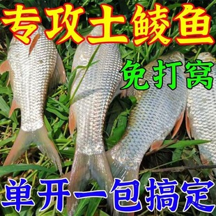 �N�~�D��Ұ�ˮ��Ұ���`�~�D�V�|�V�����N�~���N�~̩�N÷���N�~�D