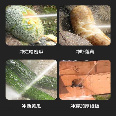 Car washing machine: Pump, High-Power Car Washing Gun