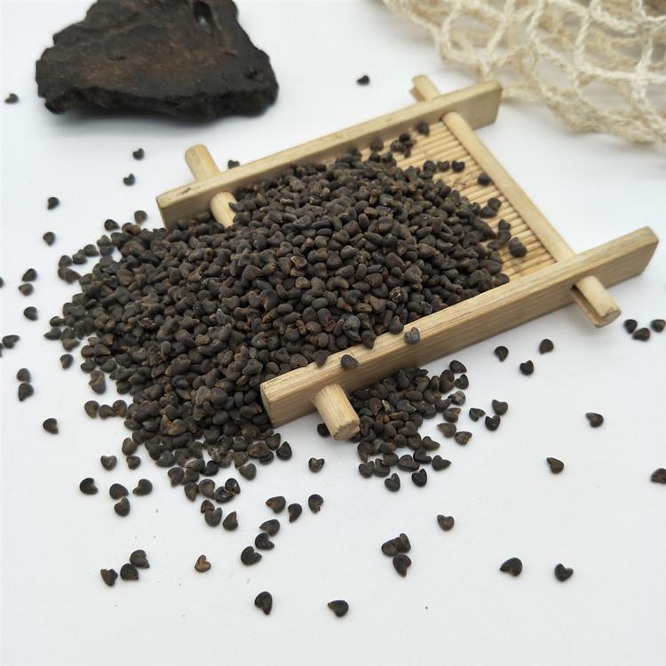 Dried Malva Seeds Dong Kui Zi 500g Traditional Chinese Herb for Decoctions and Teas overview