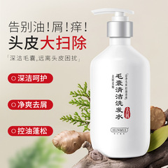 韓倫美羽毛囊清潔洗髮水柔順控油清潔蓬鬆頭皮去屑洗髮露滋養毛囊