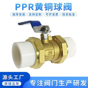 PPR�S�~���y6��ů�����y�T����pe�_�P���^ˮ�ܹܼ����20255063