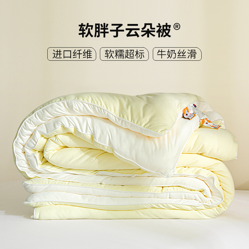 Imported ClAss A MAternAl And InfAnt AntibActeriAl CAt Feels Soft FAt Super Soft Quilt Winter Quilt Spring & FAll Quilt Core Thickeneded And WArm
