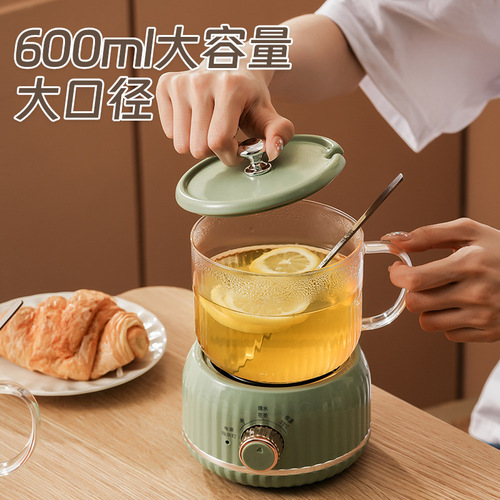Multifunctional Electric Ceramic Cooker Electric Heat Cup Home Induction Cooker Temperature Control Ceramic Cooker Office Water Heater Timed Tea Maker